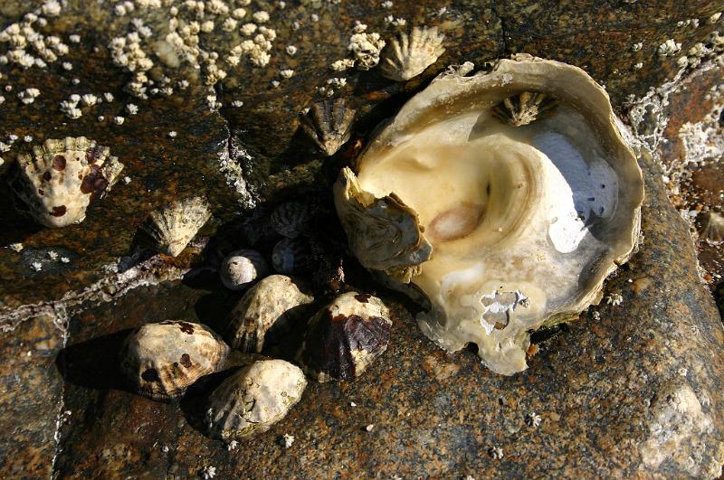 Bretagne (314).JPG